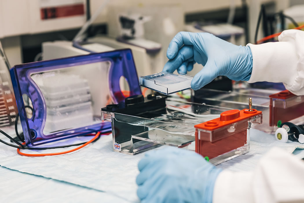 FOWM Biotechnology Services